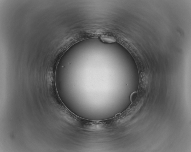 X0000112480612200908241256