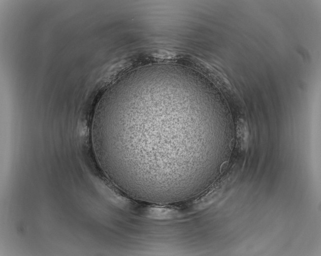 X0000112480614200908241256