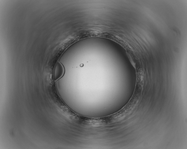 X0000112480615200908241256