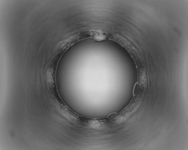 X0000112480616200908241256