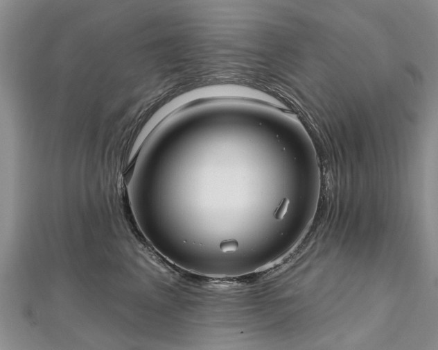 X0000112480617200908241256