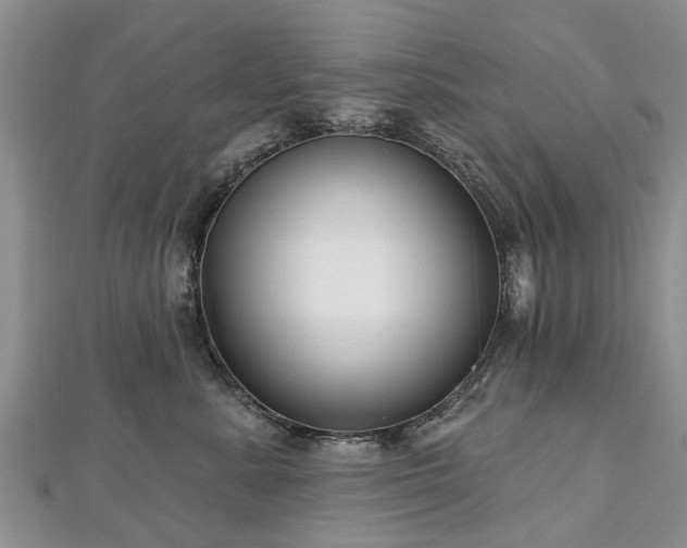 X0000112480619200908241256