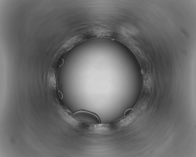 X0000112480622200908241256