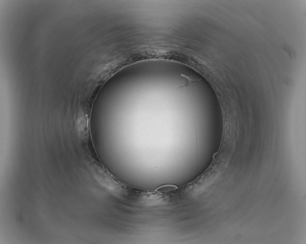 X0000112480624200908241256