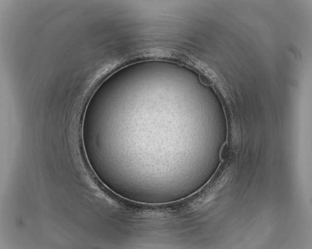 X0000112480625200908241255