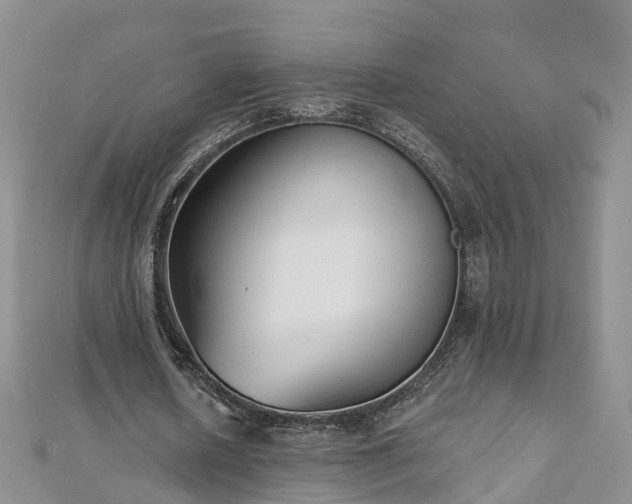 X0000112480626200908241255