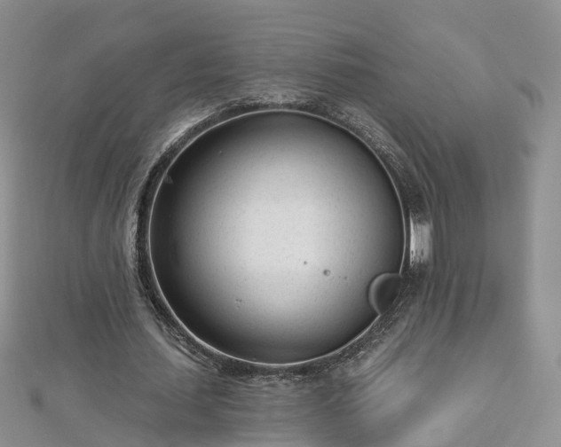 X0000112480627200908241255