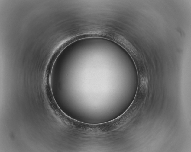 X0000112480628200908241255