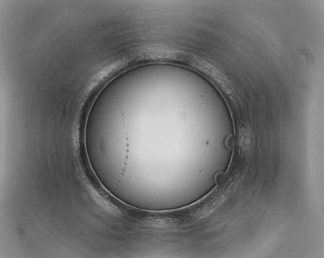 X0000112480629200908241255