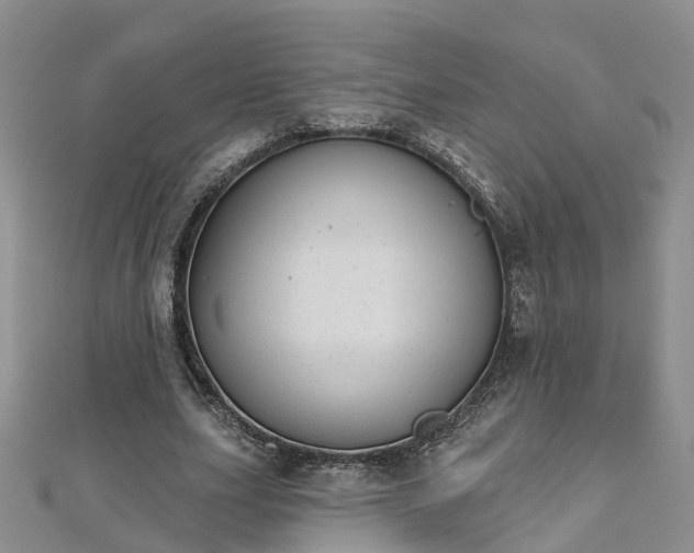 X0000112480631200908241255