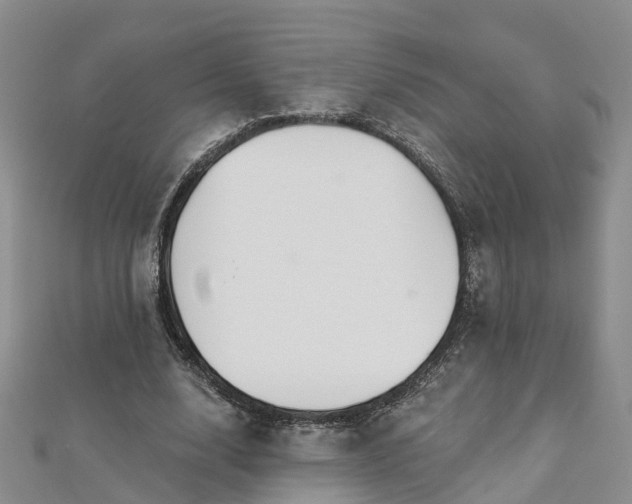 X0000112480632200908241255