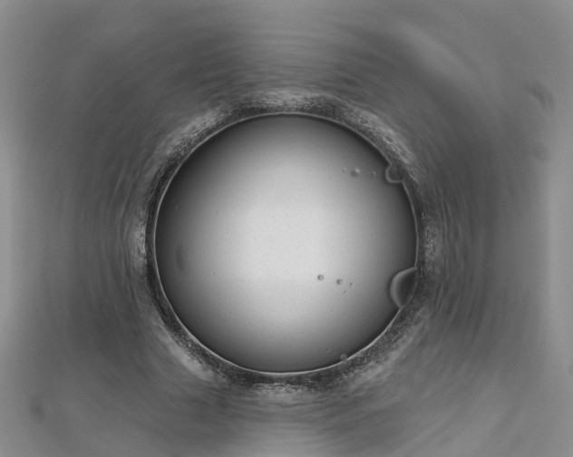 X0000112480633200908241255