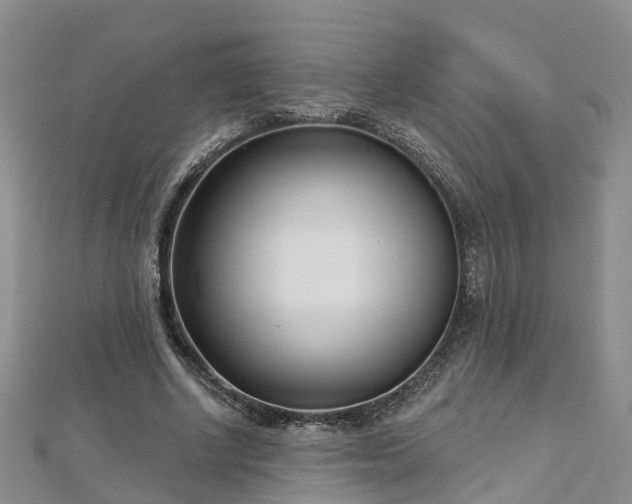 X0000112480634200908241255