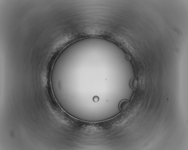 X0000112480635200908241255