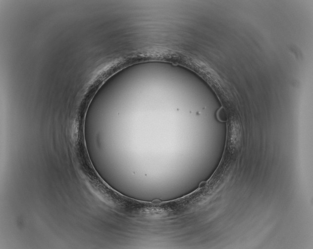 X0000112480636200908241255