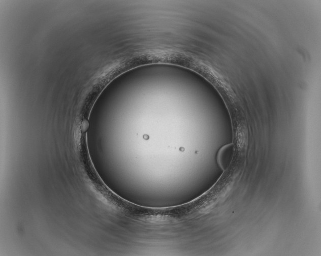 X0000112480637200908241255