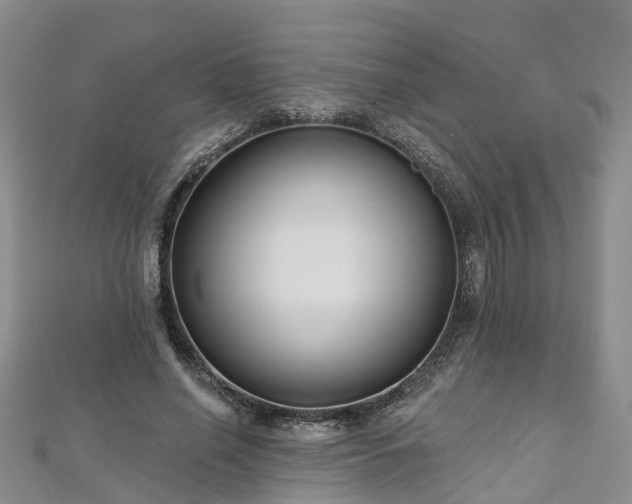 X0000112480638200908241255