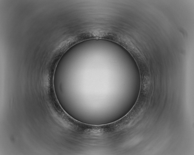 X0000112480639200908241255