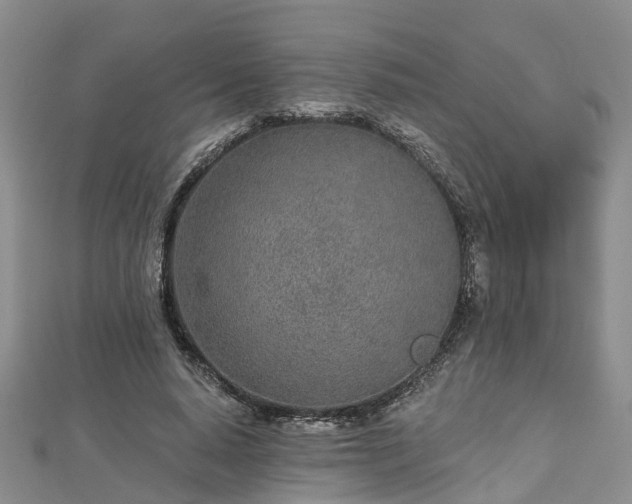 X0000112480640200908241255