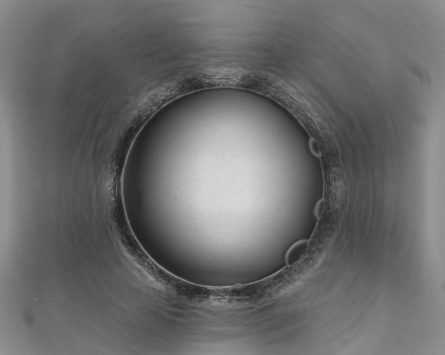 X0000112480641200908241255