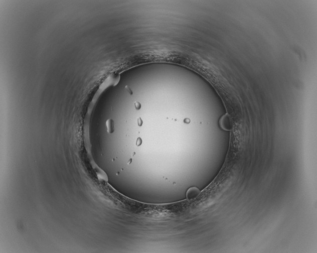 X0000112480642200908241255