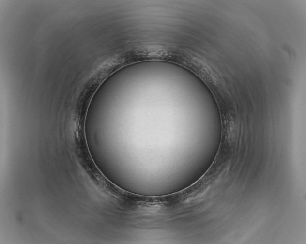 X0000112480643200908241255