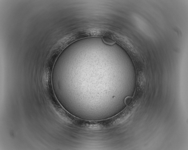 X0000112480645200908241255