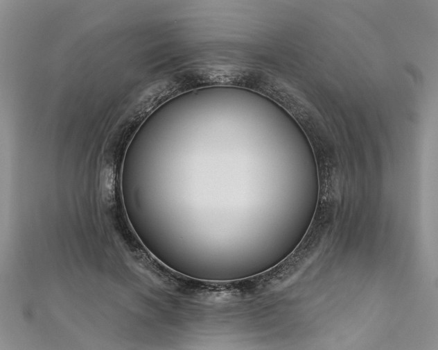 X0000112480646200908241255