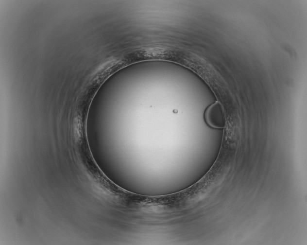 X0000112480648200908241255