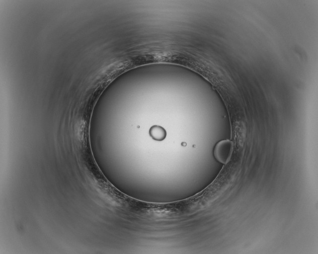 X0000112480650200908241255