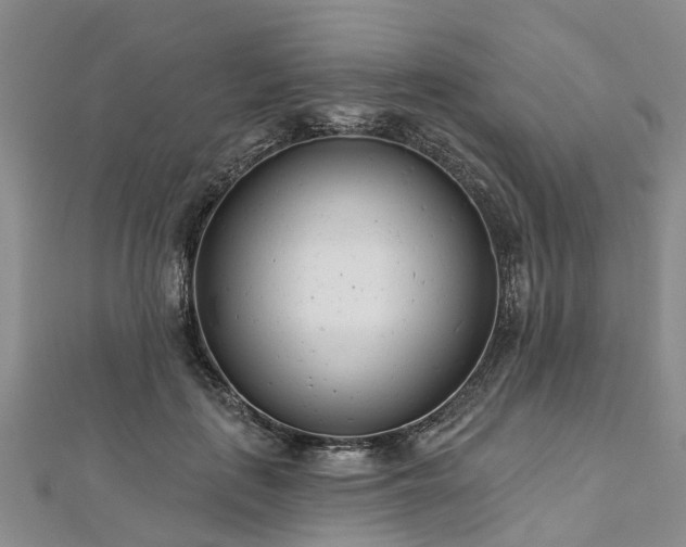 X0000112480651200908241255