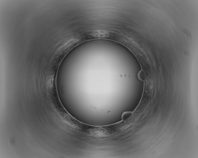 X0000112480652200908241255