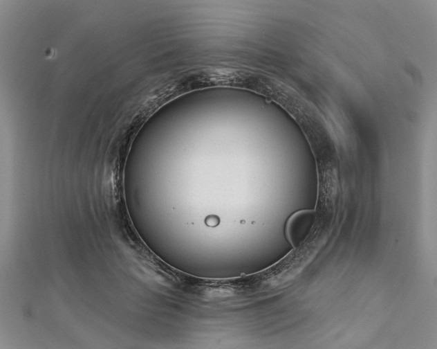 X0000112480653200908241255