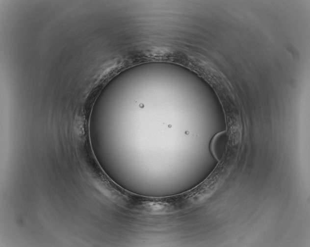 X0000112480654200908241255