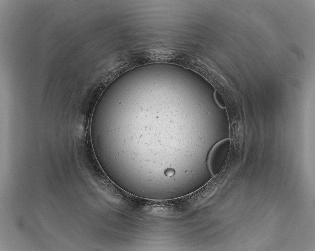 X0000112480655200908241255