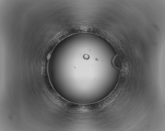 X0000112480656200908241255