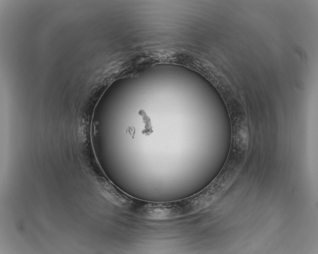 X0000112480658200908241255