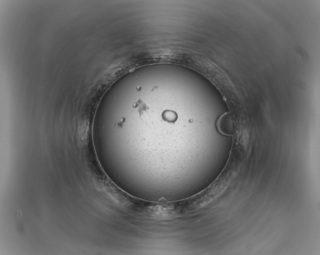 X0000112480660200908241255