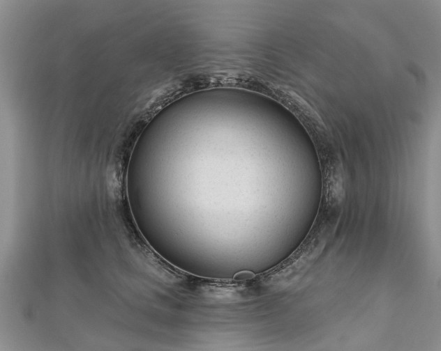 X0000112480661200908241255