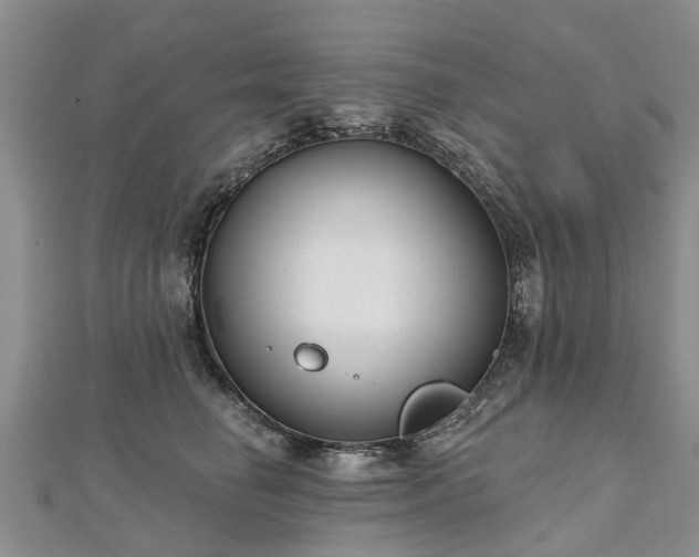 X0000112480662200908241255