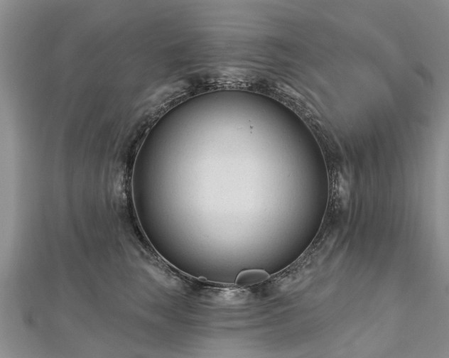 X0000112480663200908241255