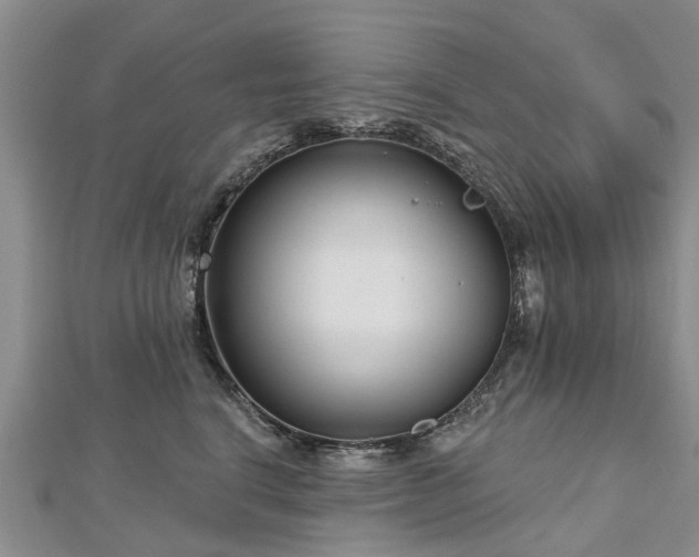 X0000112480664200908241255