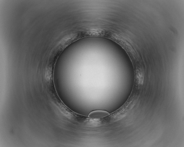 X0000112480665200908241255