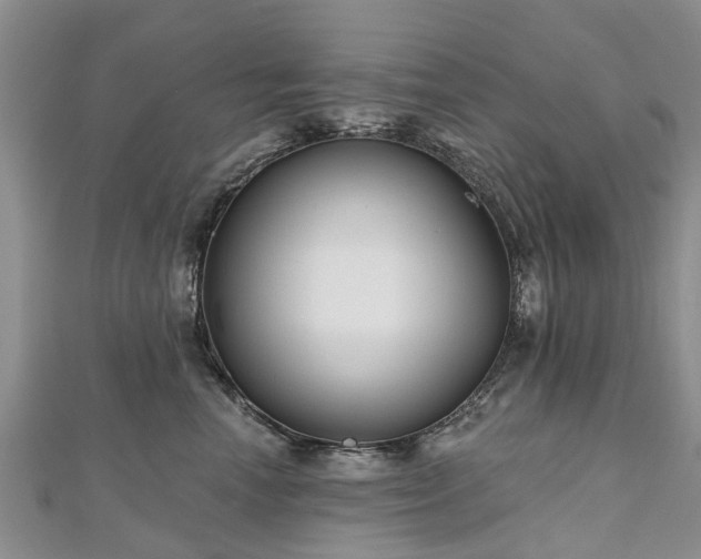 X0000112480666200908241255