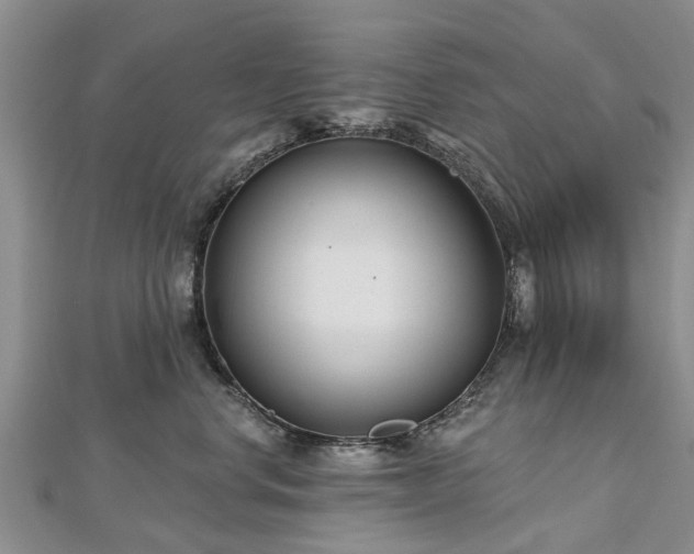 X0000112480668200908241256