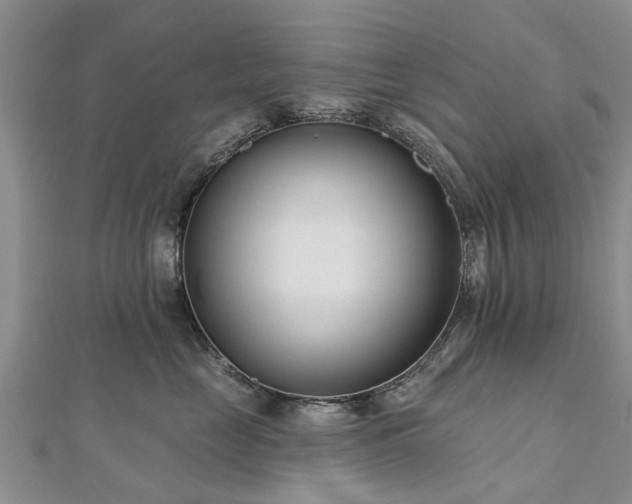 X0000112480669200908241256