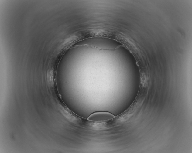 X0000112480670200908241256