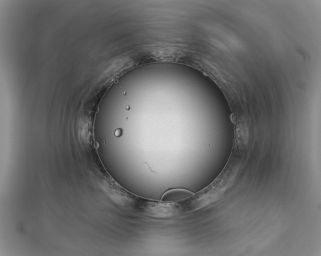 X0000112480671200908241256