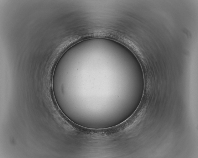 X0000112480673200908241255