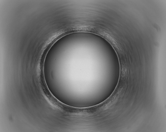 X0000112480674200908241255